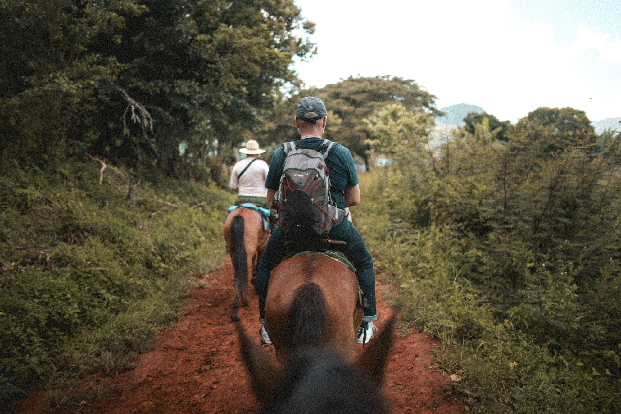 Mejorando la experiencia de los huéspedes de glamping: Actividades en el lugar y excursiones fuera del lugar